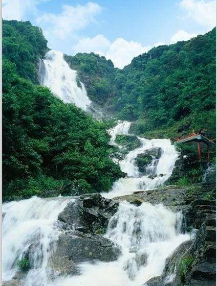 小企鹅逃生